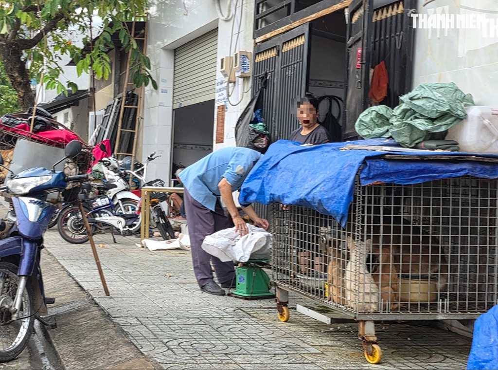 Rùng mình lò giết mổ lậu chó, mèo: Lỗ hổng quản lý nằm ở đâu?- Ảnh 2.