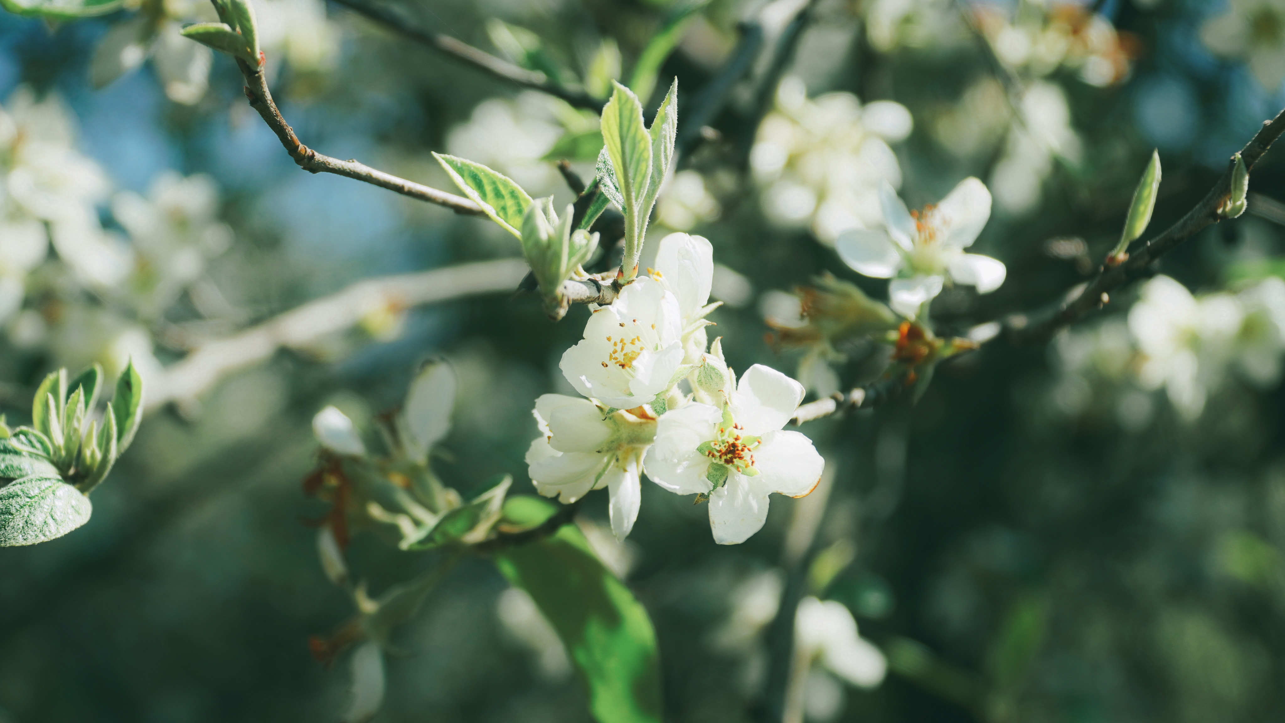 thôi việc - Ảnh 2.