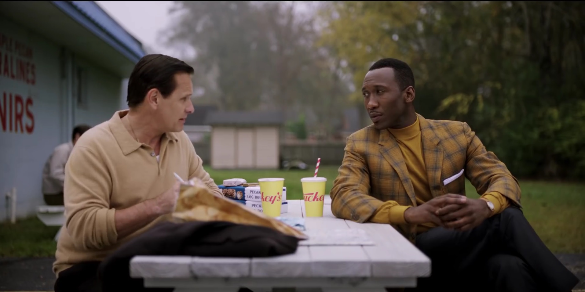 Trailer Green Book