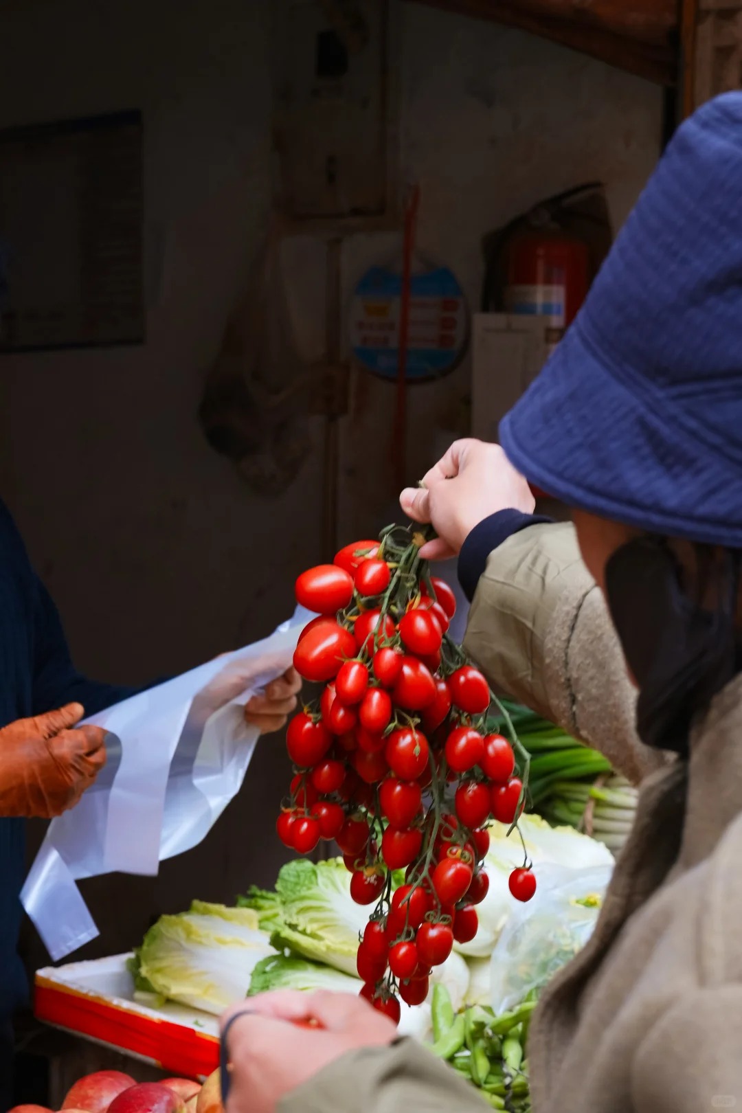 Đi chợ nông sản đâu chỉ mua rau, ấy là cuộc 