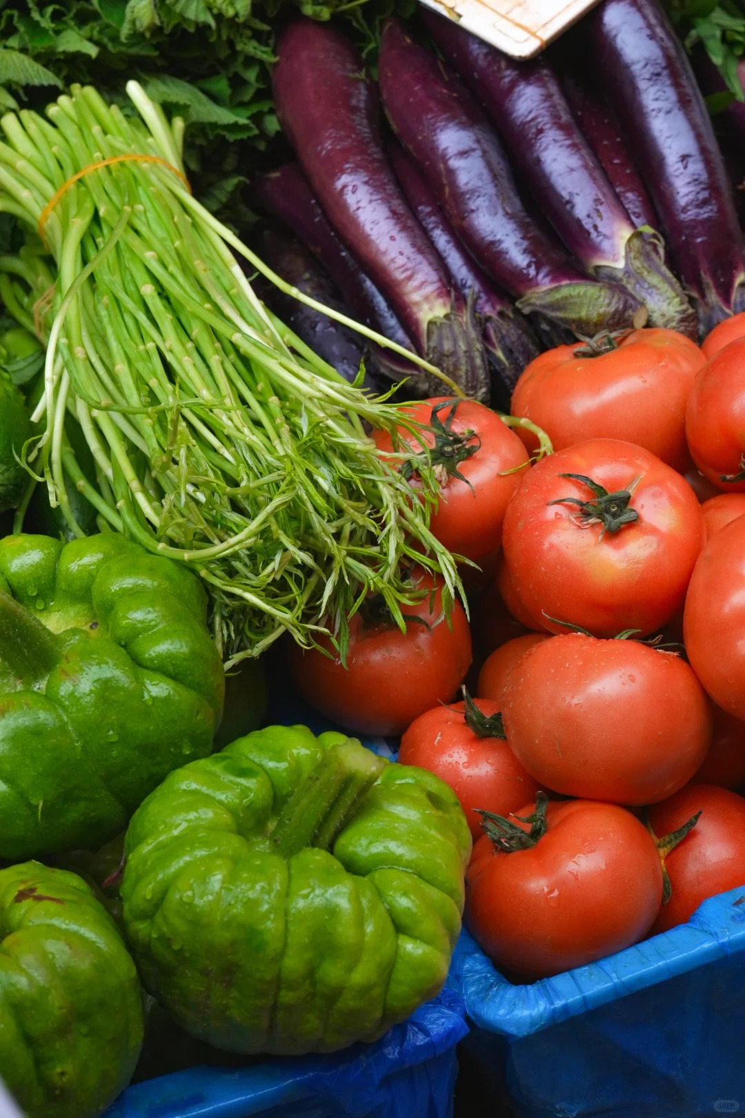 Đi chợ nông sản đâu chỉ mua rau, ấy là cuộc 