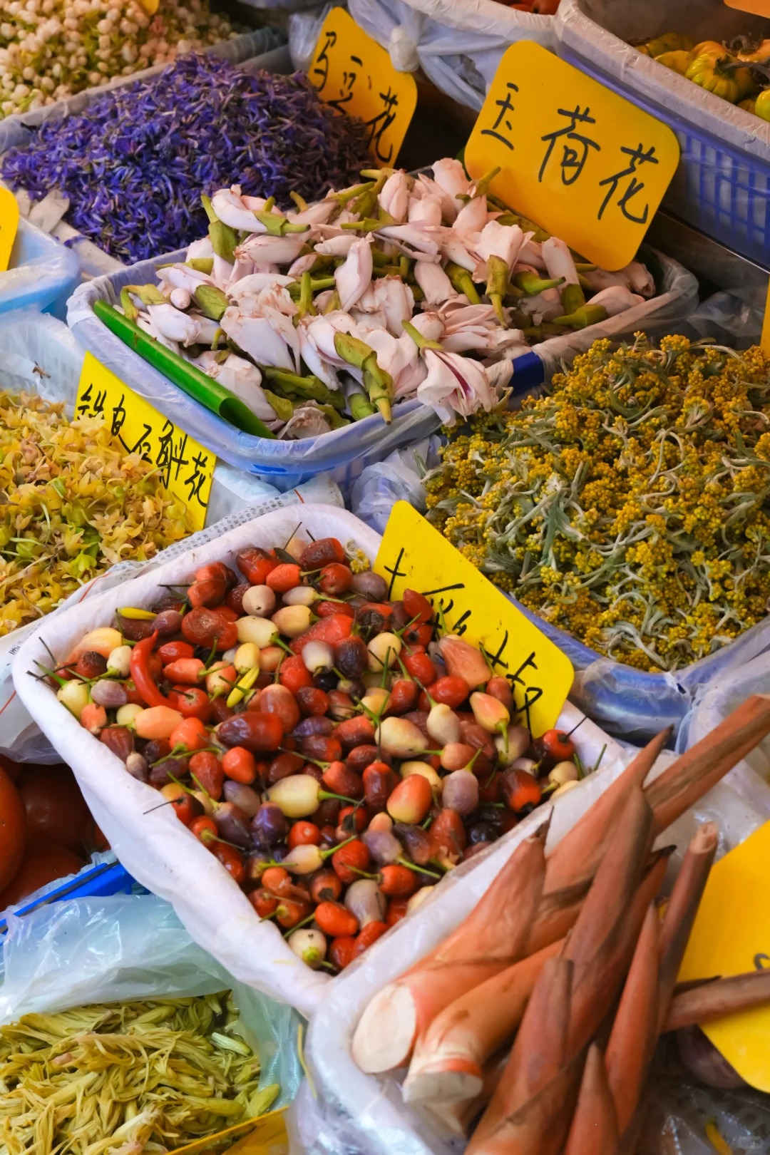 Đi chợ nông sản đâu chỉ mua rau, ấy là cuộc 