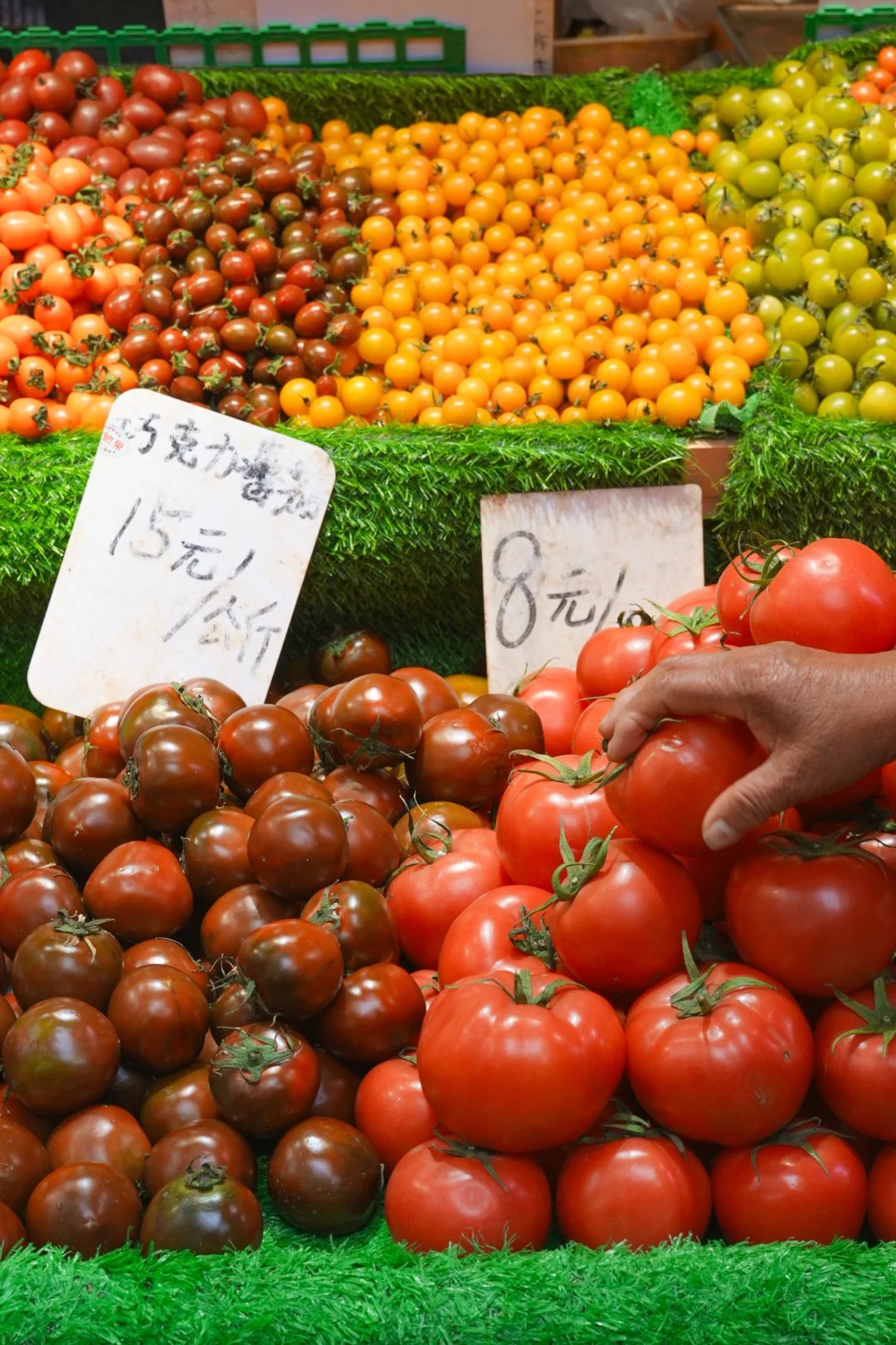 Đi chợ nông sản đâu chỉ mua rau, ấy là cuộc 