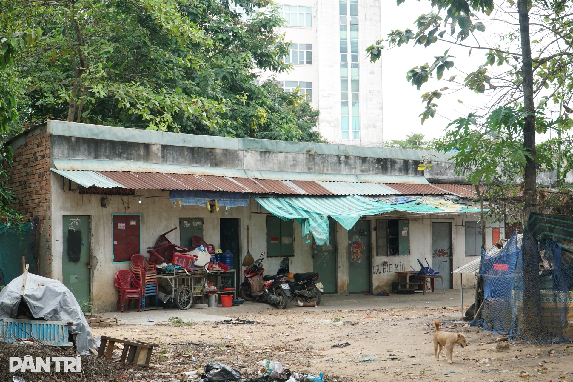 Hàng trăm căn nhà bao vây ngôi trường ở TPHCM suốt hàng chục năm - 6 Hàng trăm căn nhà bao vây ngôi trường ở TPHCM suốt hàng chục năm - 6
