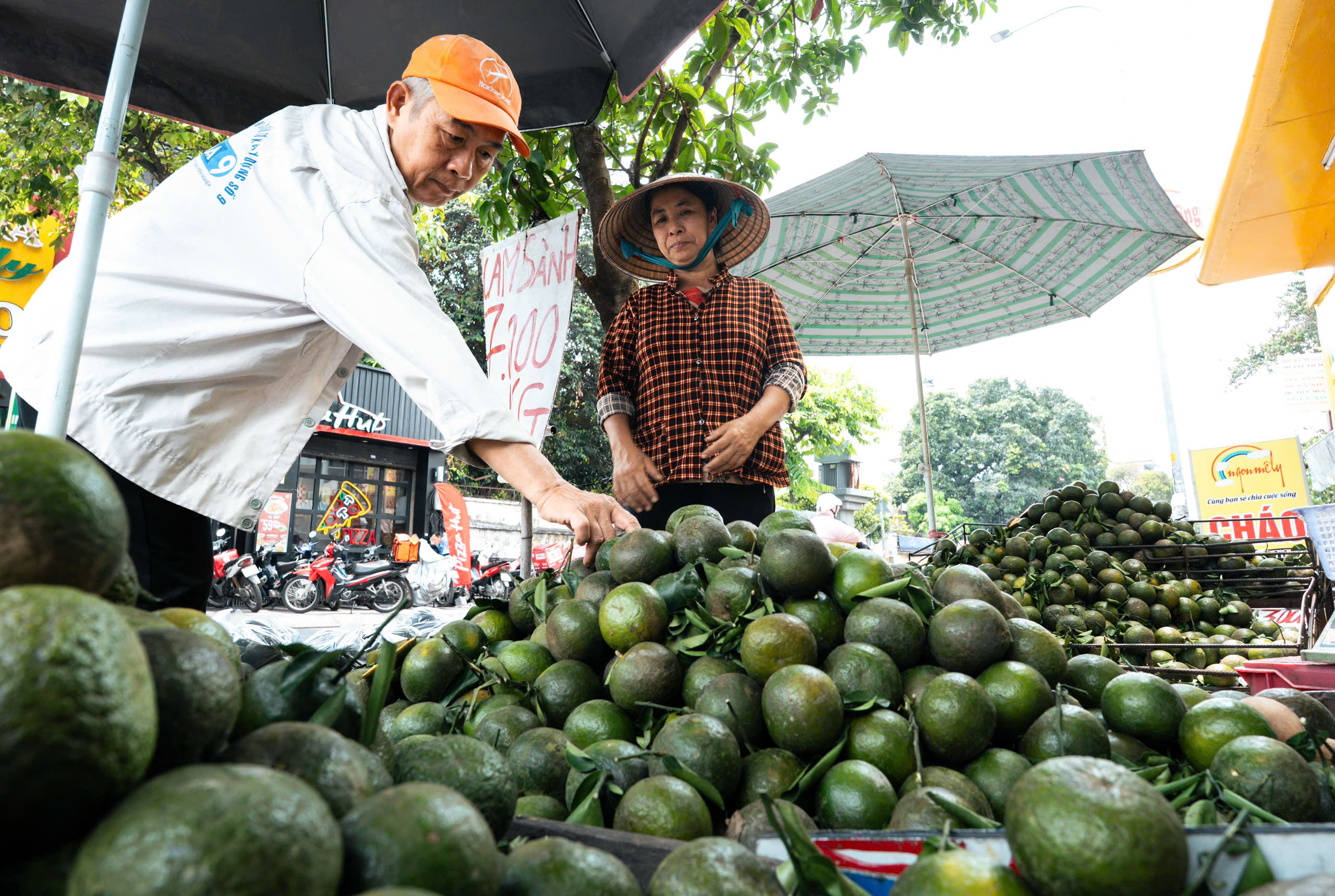 Trái cây rớt giá mạnh - Ảnh 2. giá trái cây - Ảnh 2.