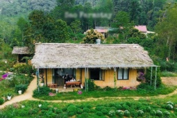 Bản làng xanh mát cách Hà Nội 250km, khách vượt xa đến hái rau, tự nấu cơm