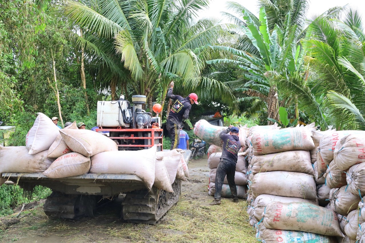 Để có 1 tấn lúa, nông dân phải xài gần 5.000 mét khối nước- Ảnh 2. Để có 1 tấn lúa, nông dân phải xài gần 5.000 mét khối nước- Ảnh 2.