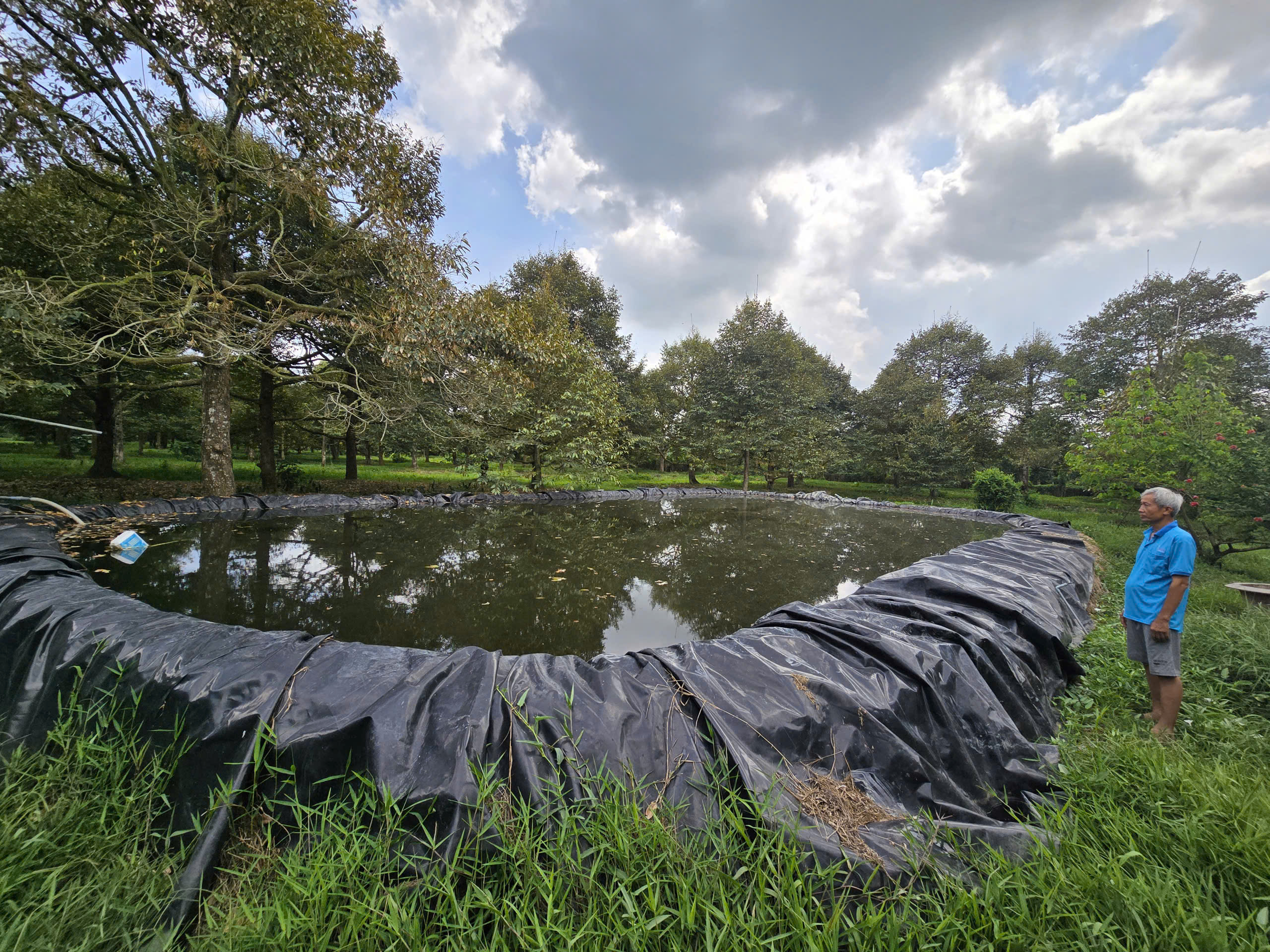 Để có 1 tấn lúa, nông dân phải xài gần 5.000 mét khối nước- Ảnh 3. Để có 1 tấn lúa, nông dân phải xài gần 5.000 mét khối nước- Ảnh 3.