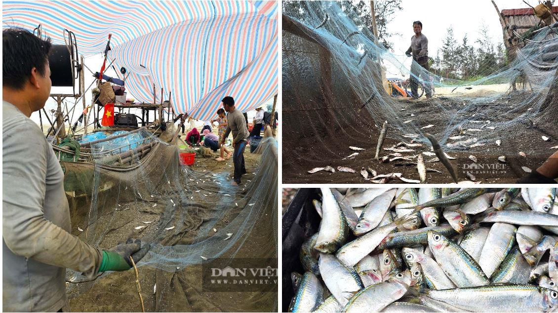 “Hot trend ở Nghệ An, dân tình kéo nhau ra ngồi ngoài bãi biển chỉ để được ăn cá trích nướng 5 Nguyên liệu để chế biến món đặc sản nhiều người mê là sản phẩm từ những chuyến biển của ngư dân xã Hải Châu, tỉnh Nghệ An. Những chiếc bè mảng vừa cập bến với từng tấm lưới dính đầy cá trích tươi rói. Cá trích được đánh bắt ngay trên vùng biển gần bờ của địa phương. Ảnh: N.T