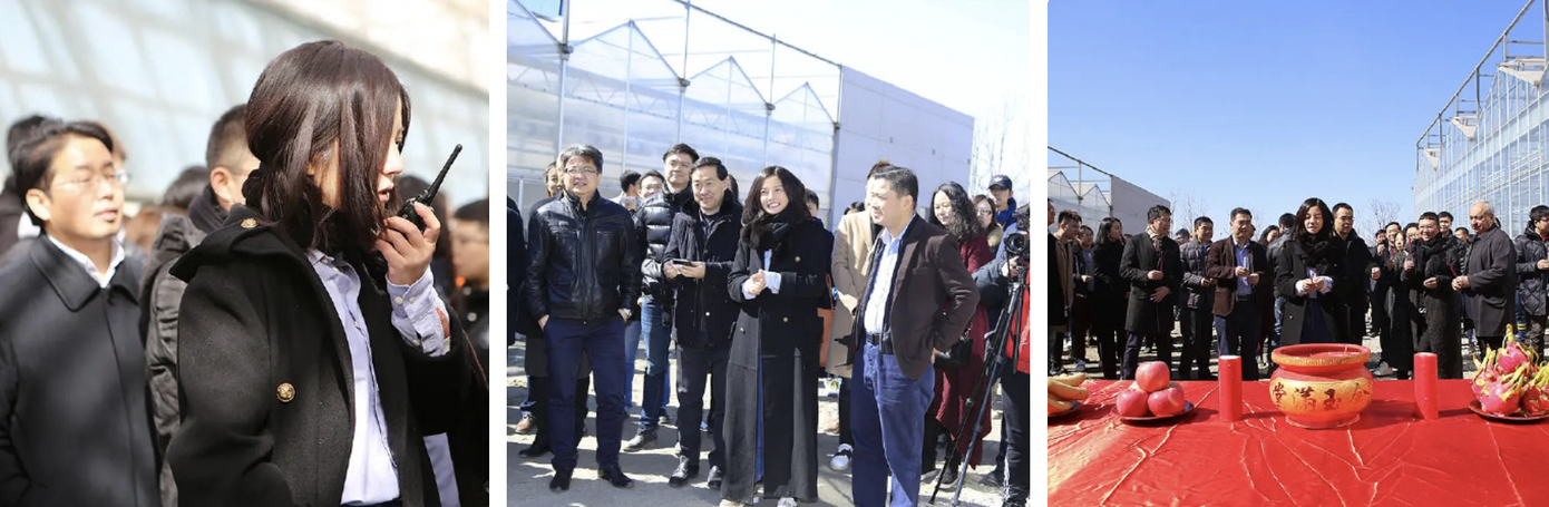 Tiếc cho Triệu Vy- Ảnh 4.