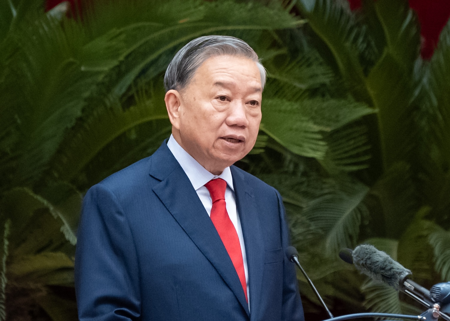 Tổng Bí thư - Ảnh 1.