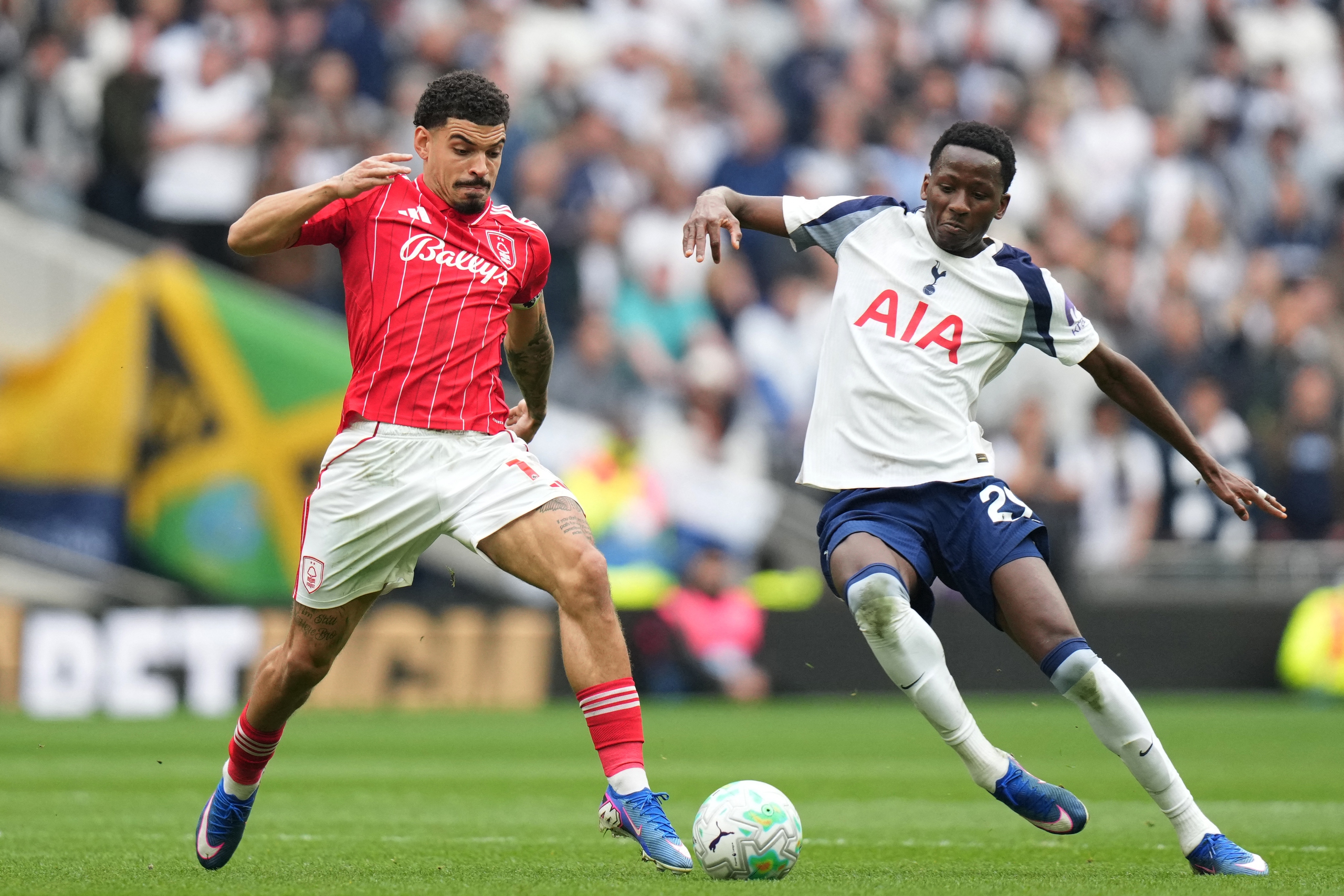 Báo động đỏ cho Tottenham 2 tottenham - Ảnh 2.