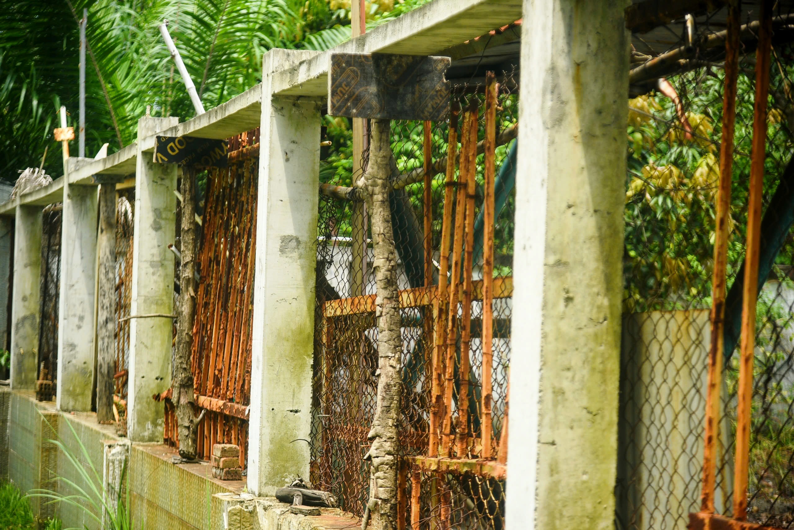 Khối tài sản 81 tỉ đồng của Huy 'máy nổ' hoang tàn sắp bị 'gõ búa' đấu giá- Ảnh 6.