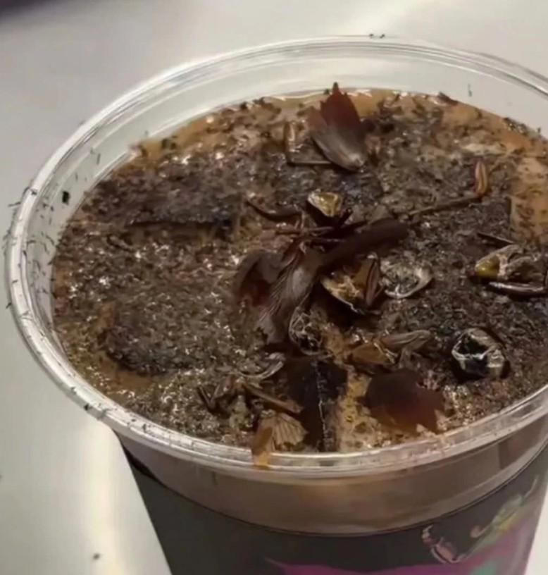 Quán cà phê bán Americano kết hợp với trứng luộc bằng nước tiểu bé trai giá hơn 100.000 đồng/ly- Ảnh 3. Quán cà phê bán Americano kết hợp với trứng luộc bằng nước tiểu bé trai giá hơn 100.000 đồng/ly- Ảnh 3.