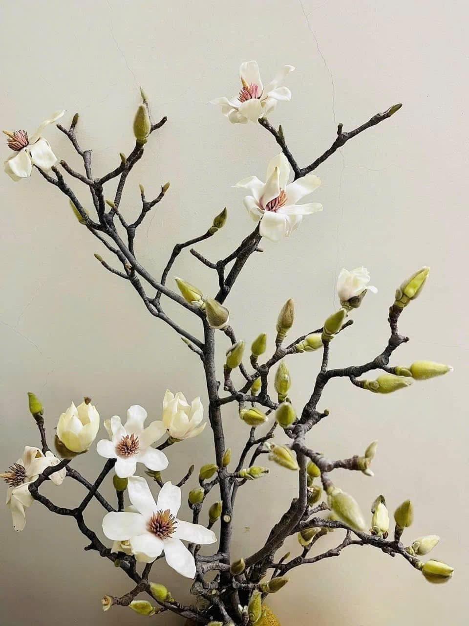 10 loài hoa thơm say mũi: Mùi hương độc nhất thế giới, đến thợ điều chế nước hoa cũng không thể bắt chước- Ảnh 3.