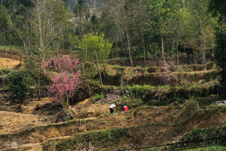 Điểm đến bị khách du lịch 'bỏ quên' ở Hà Giang - 2