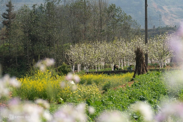 Điểm đến bị khách du lịch 'bỏ quên' ở Hà Giang - 3