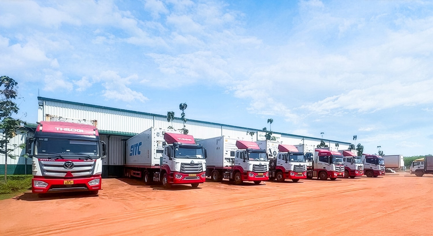 THILOGI tối ưu giải pháp chuỗi lạnh cho trái cây tươi xuất khẩu 3 THILOGI tối ưu giải pháp chuỗi lạnh cho trái cây tươi xuất khẩu - Ảnh 3.