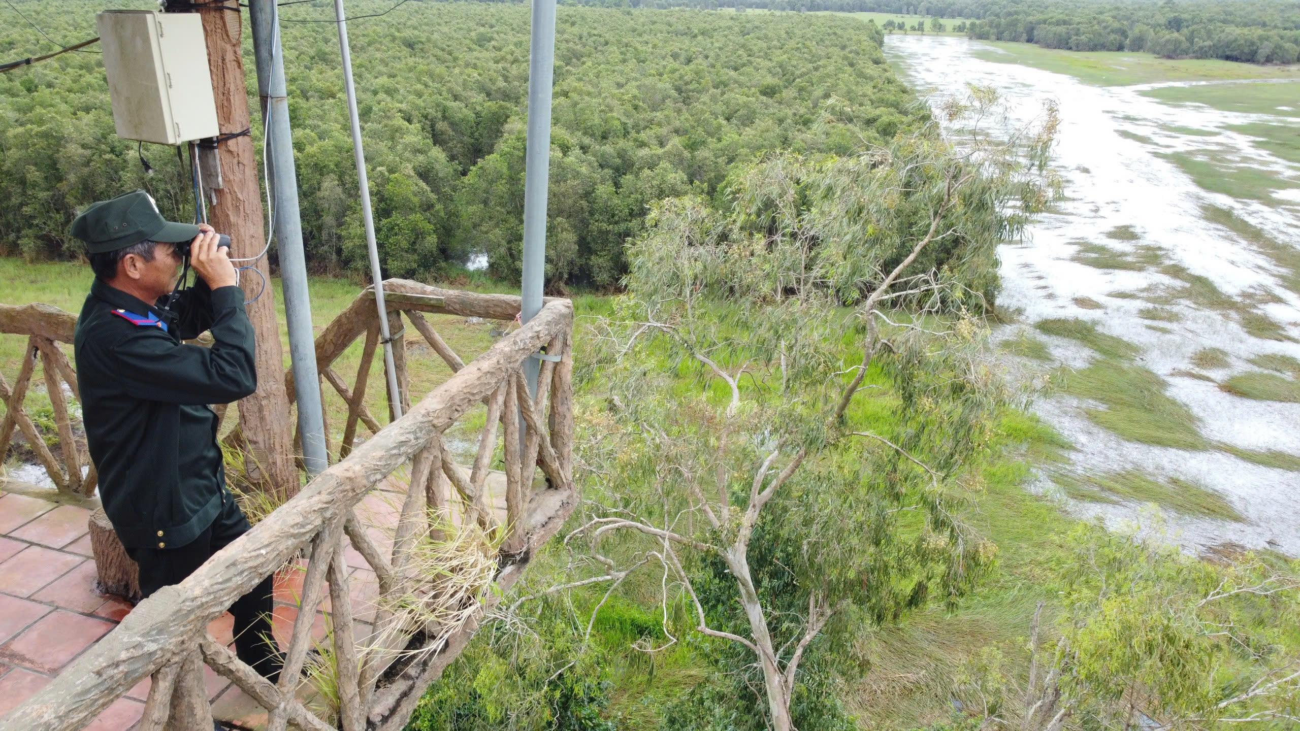 Người gác rừng ở Tràm Chim và cơn mơ về bóng sếu- Ảnh 3. Người gác rừng ở Tràm Chim và cơn mơ về bóng sếu- Ảnh 3.