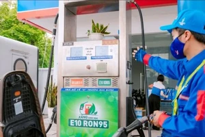 Để xăng E10 sớm đi vào cuộc sống, cần chuẩn bị 'từ giá đến niềm tin'
