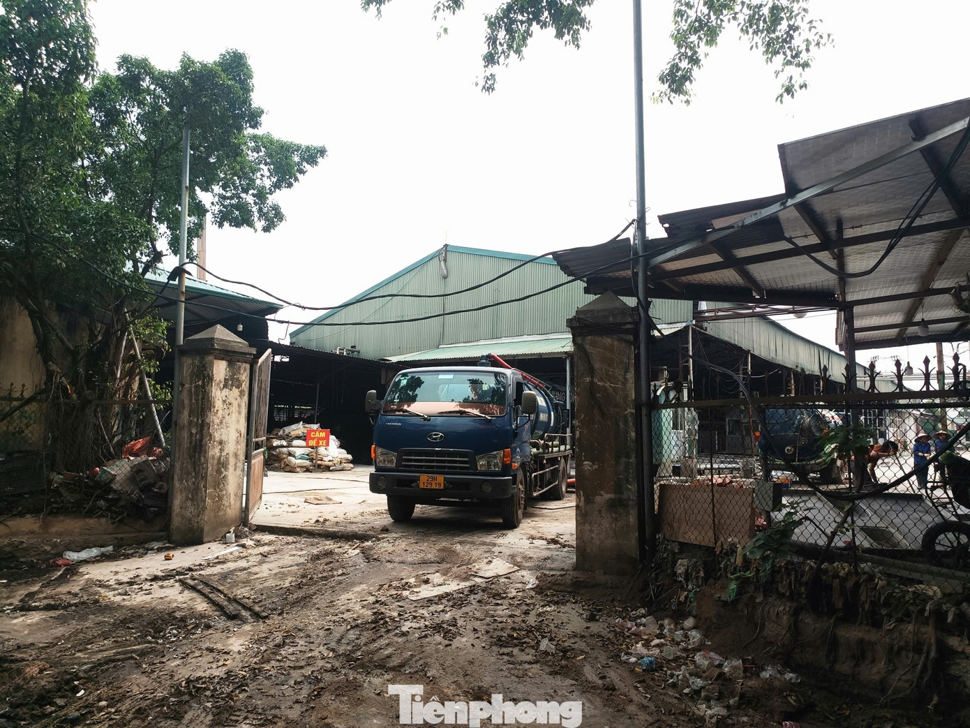 Tận thấy lò mổ gần 300 tấn lợn bệnh ở Hà Nội- Ảnh 3.