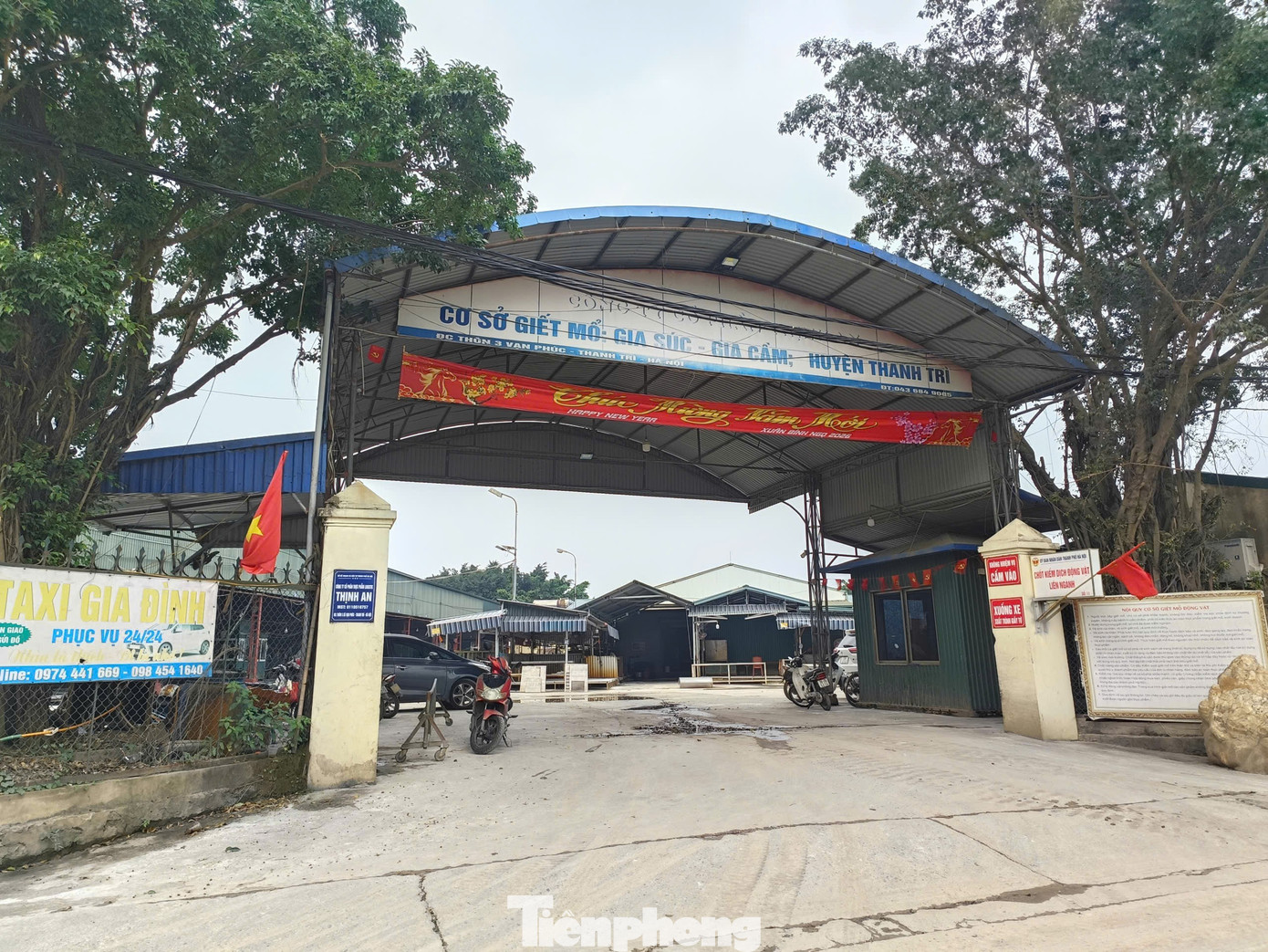 Tận thấy lò mổ gần 300 tấn lợn bệnh ở Hà Nội- Ảnh 4.