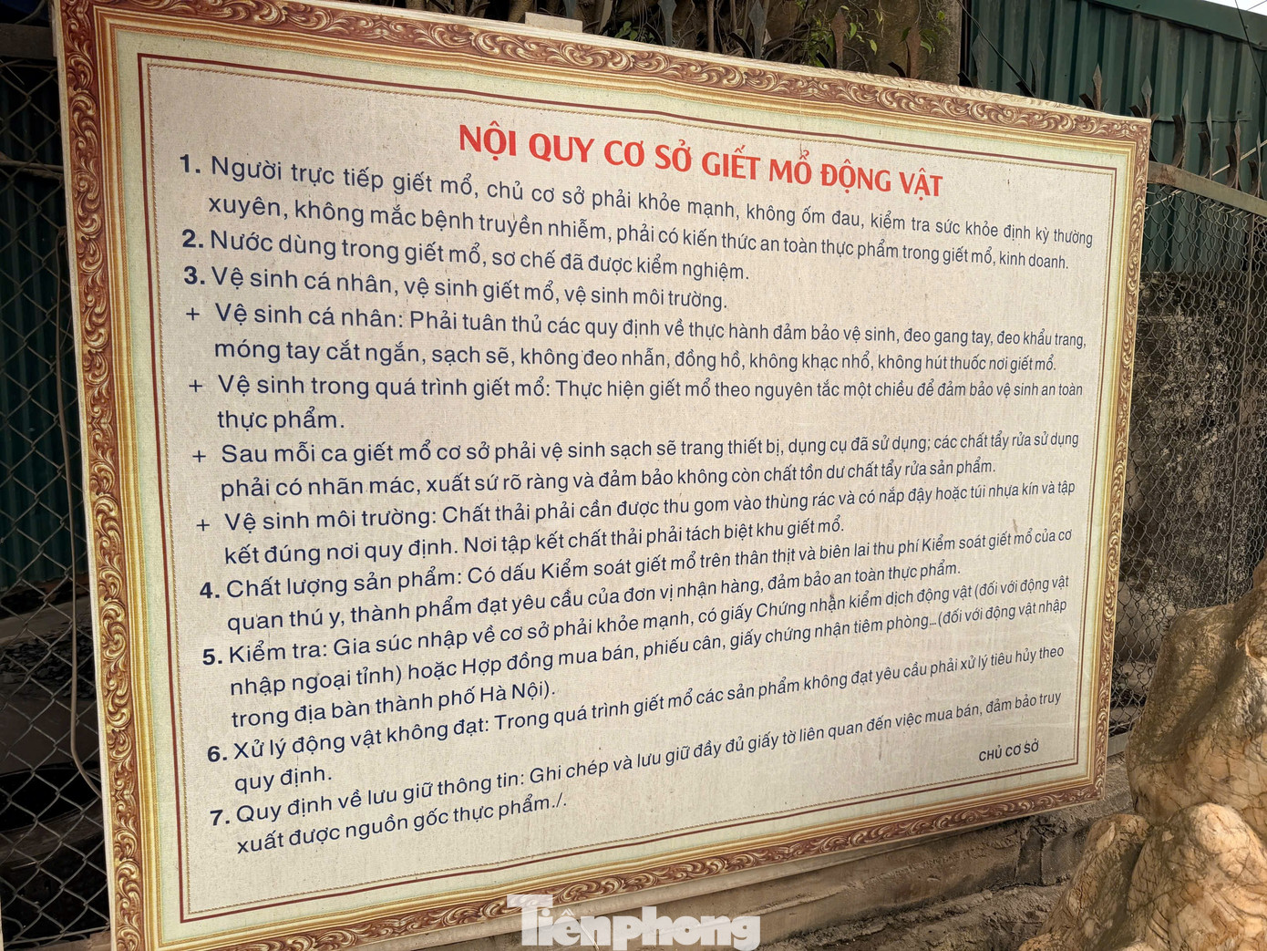 Tận thấy lò mổ gần 300 tấn lợn bệnh ở Hà Nội- Ảnh 5.