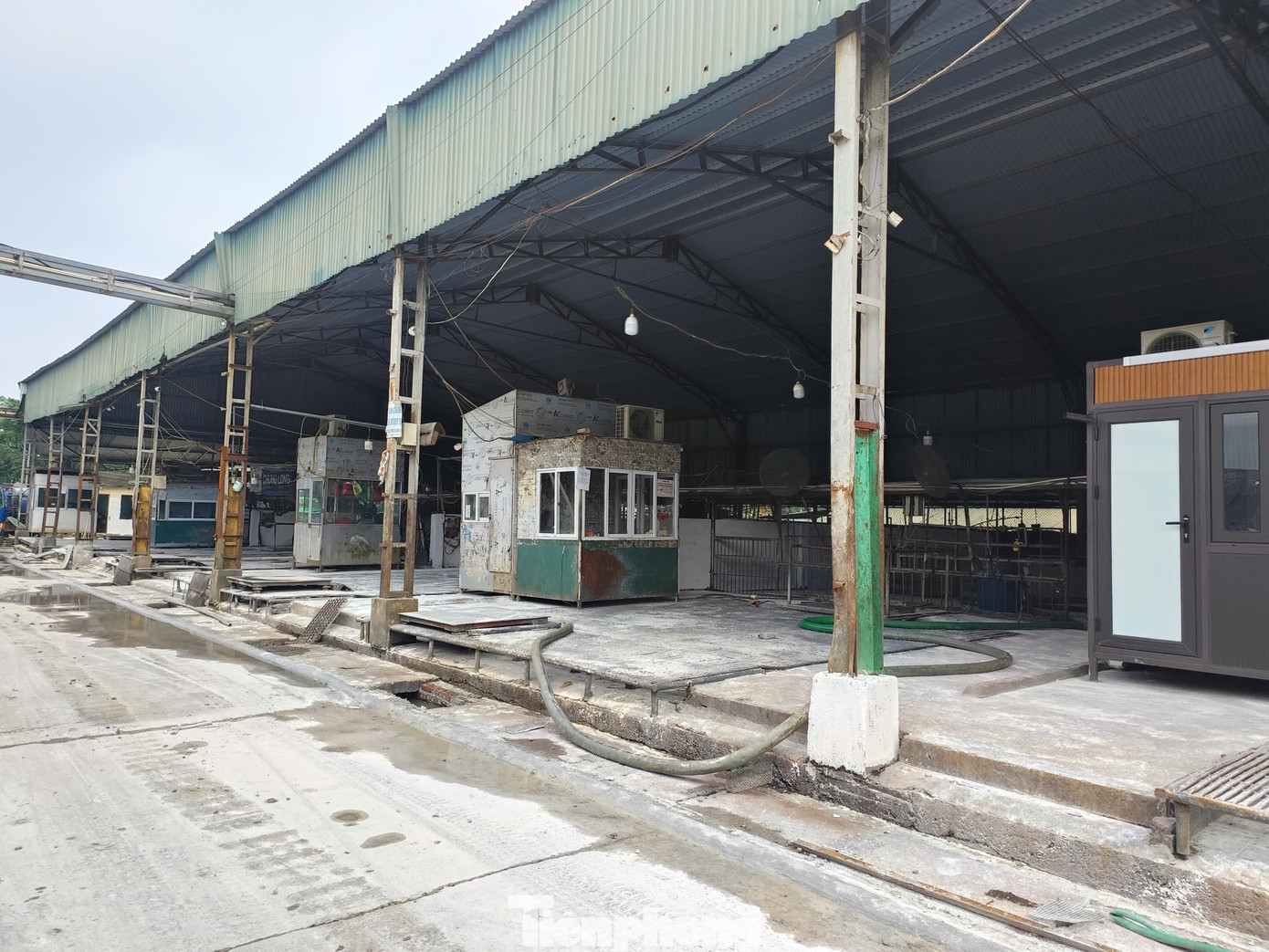 Tận thấy lò mổ gần 300 tấn lợn bệnh ở Hà Nội- Ảnh 8.