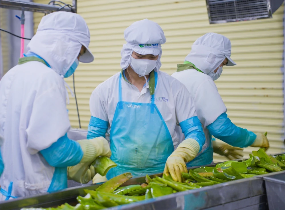 Các chính sách hỗ trợ "đúng và trúng" sẽ tiếp sức mạnh mẽ cho kinh tế tư nhân bứt phá. Ảnh: QH kinh-te-hai-con-so-chinh-sach01.jpg