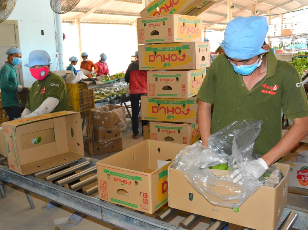 Thay vì chờ đợi, doanh nghiệp cần xoay trục chiến lược, thích nghi nhanh với bối cảnh kinh tế mới. Ảnh: QH DSC_6940.JPG