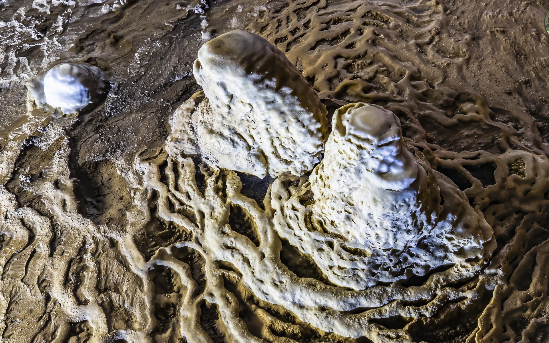 Ngắm thạch nhũ hàng triệu năm tuổi trong hang động sắp mở cửa đón khách - 9