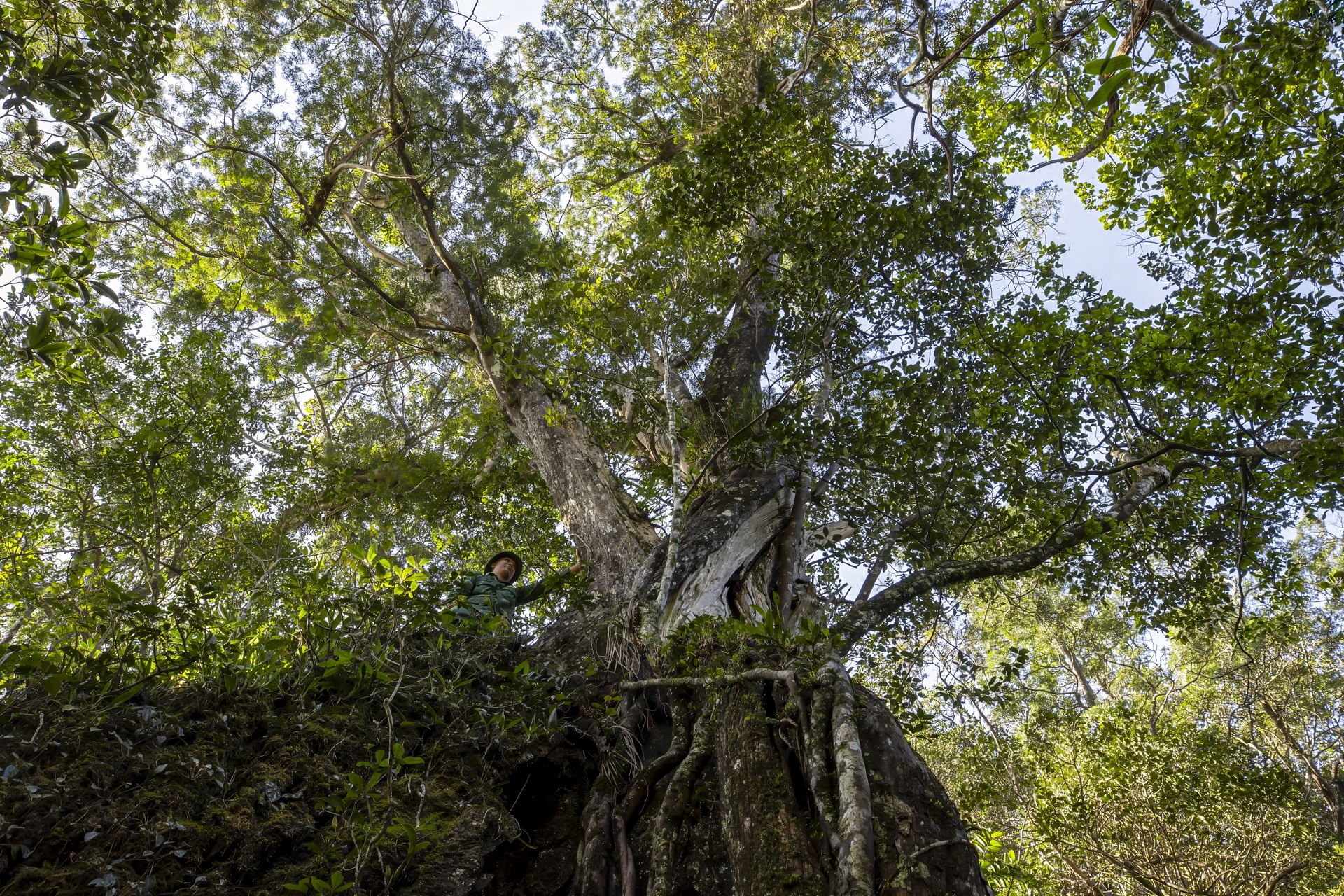 Ngắm thạch nhũ hàng triệu năm tuổi trong hang động sắp mở cửa đón khách - 11