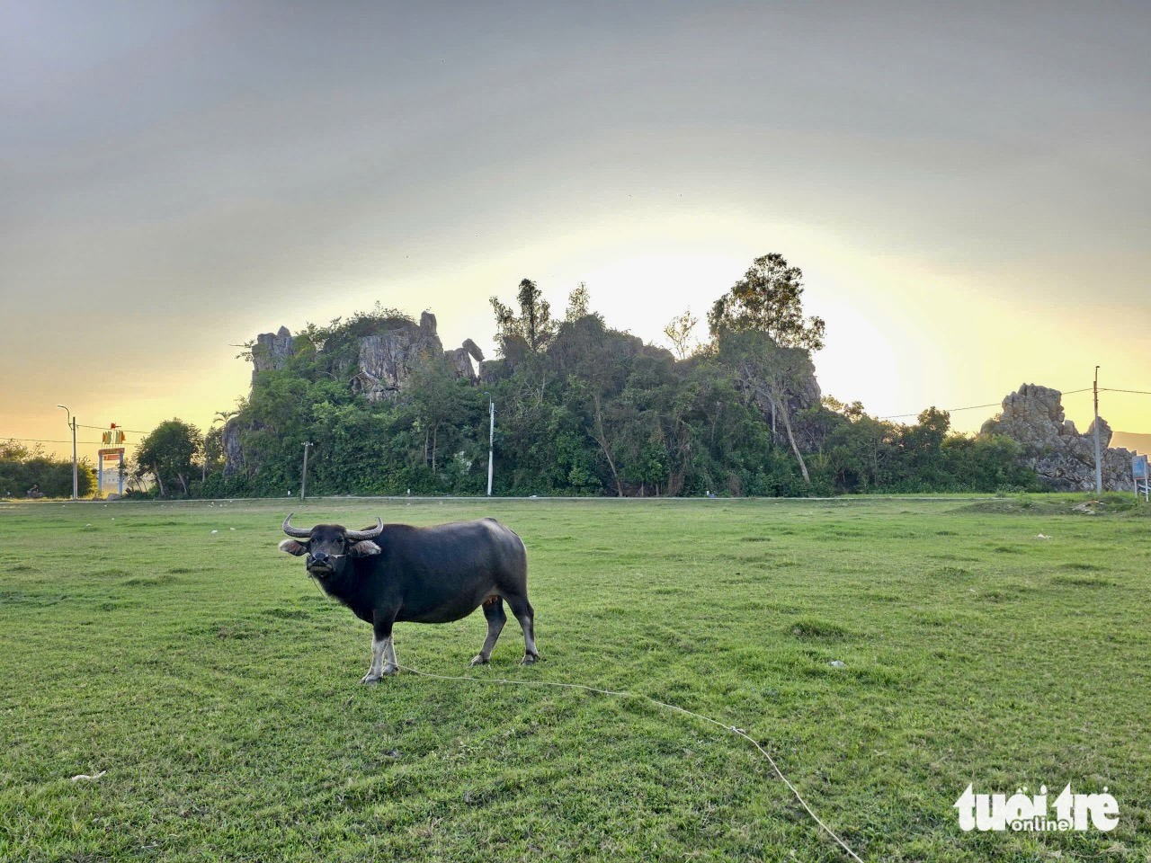 Gành đá như 'sống lưng rồng' giữa cánh đồng lúa Phú Yên hút du khách - Ảnh 6.