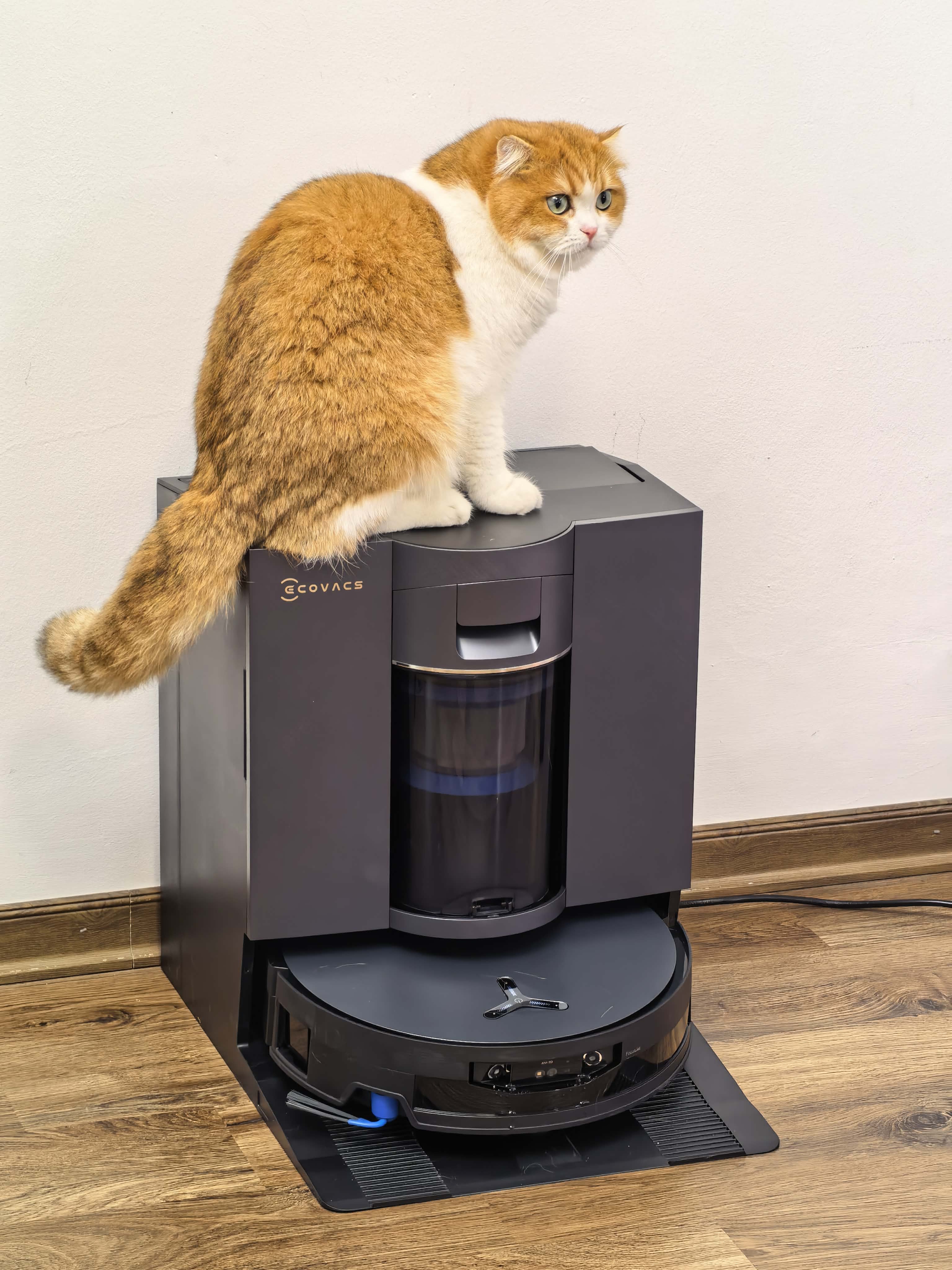 Trải nghiệm Deebot X12 OmniCyclone - robot đầu tiên dùng vòi phun làm mềm vết bẩn - Ảnh 9.