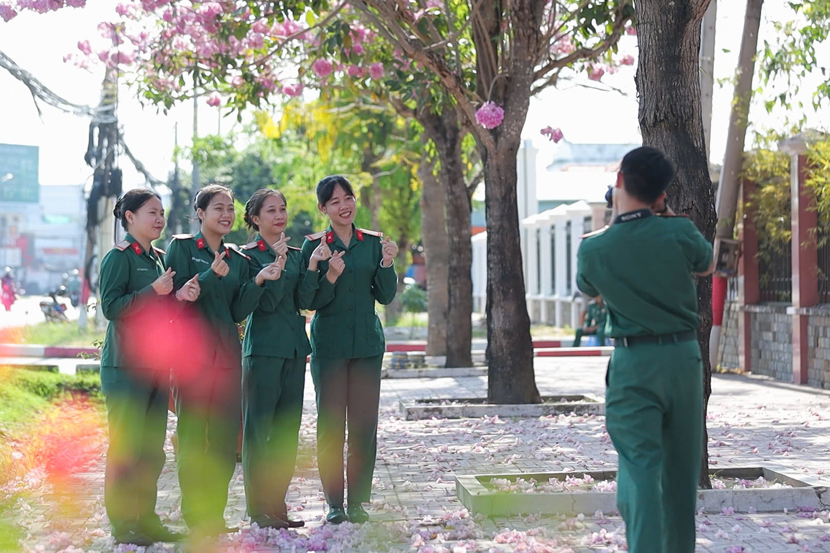 Sắc hồng kèn hồng tô thắm doanh trại 3 kèn hồng - Ảnh 3.
