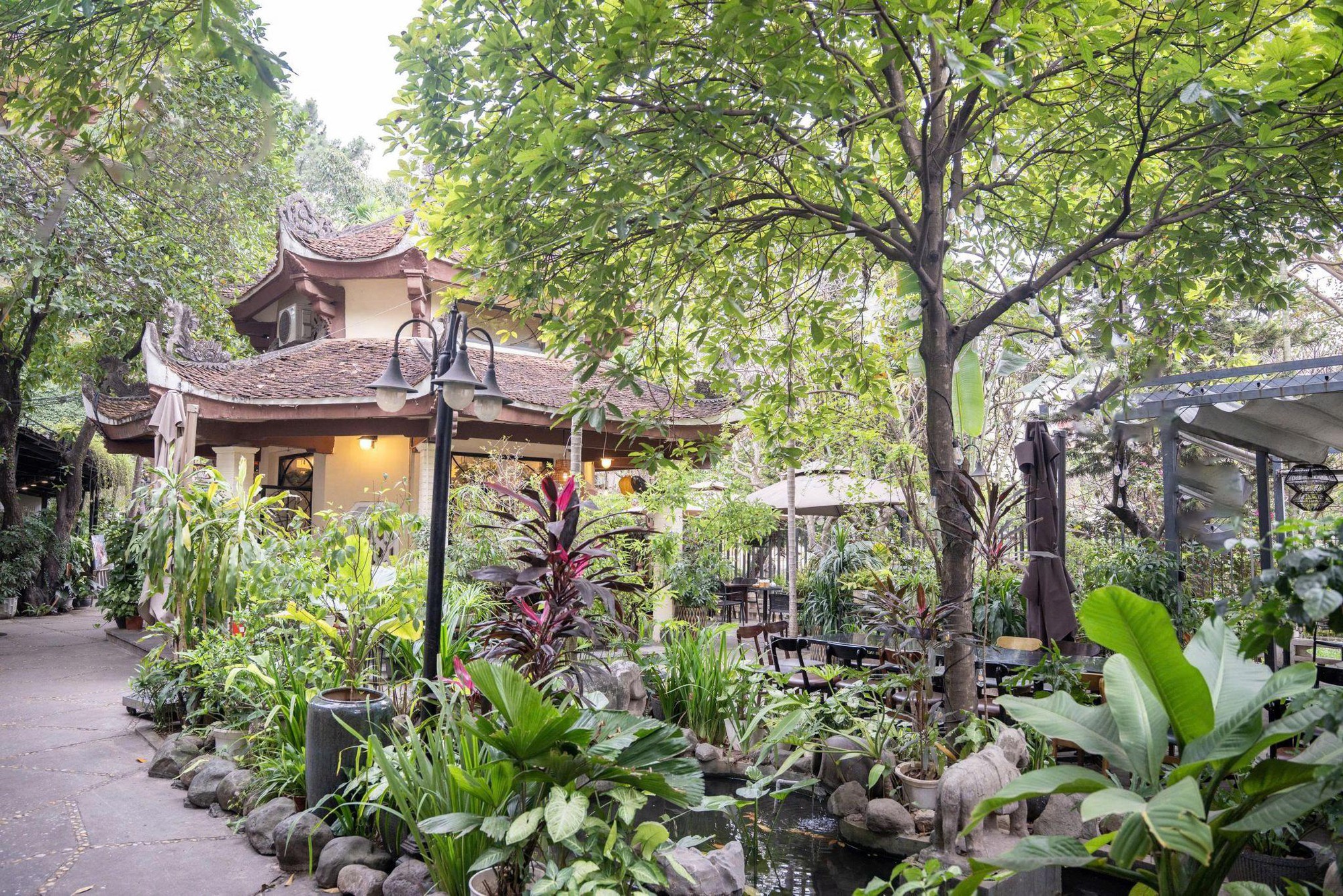 Khi tiệc sân vườn trở thành xu hướng tại Hà Nội- Ảnh 3.