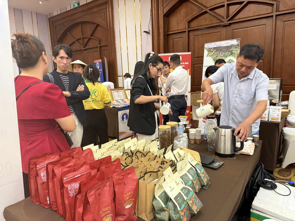 Nguồn cung thế giới dồi dào khiến giá cà phê khó giữ ở mức cao. Ảnh: QH IMG_0765.JPG
