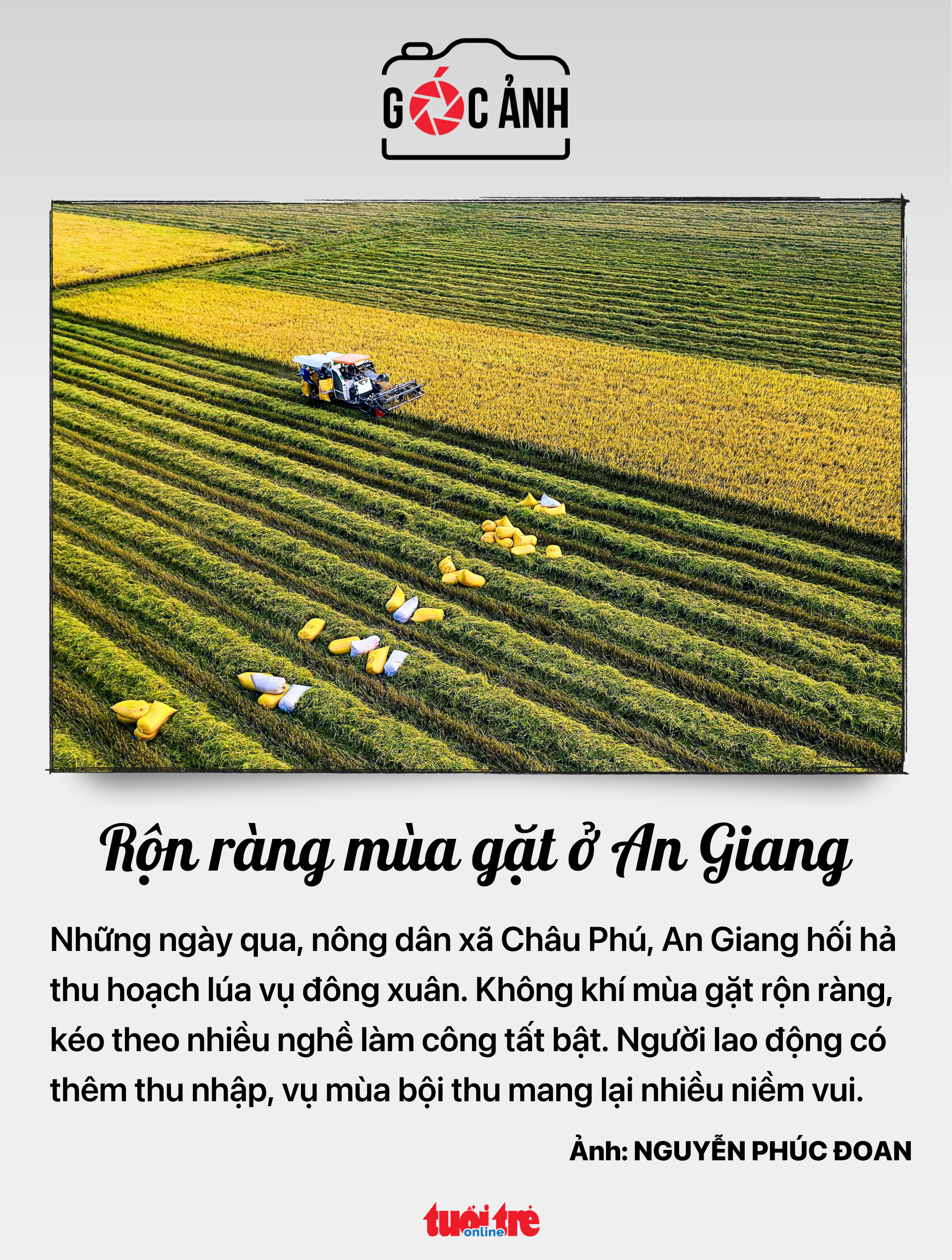 tin tức - Ảnh 7.