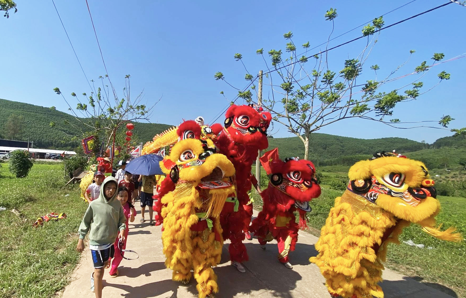 lễ hội Bà Thu Bồn - Ảnh 8.