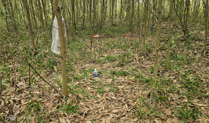 Khu vực Đạo cất dấu thi thể tài xế taxi sau khi sát hại. Ảnh: Đắc Thành