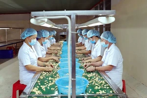 Đề xuất giảm thuế nhập khẩu phân bón xuống 0%