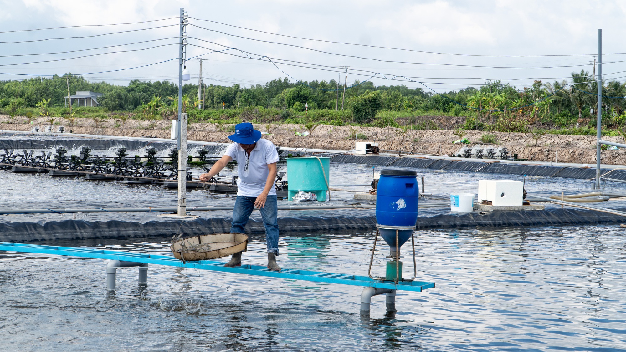 Nông nghiệp là trụ đỡ trong khủng hoảng- Ảnh 2. Nông nghiệp là trụ đỡ trong khủng hoảng- Ảnh 2.