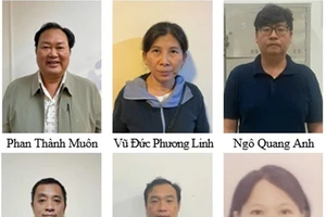 Truy tố ông chủ CTCP Tập đoàn Khoáng sản Đầu tư Hưng Thịnh vụ khai thác quặng titan trái phép