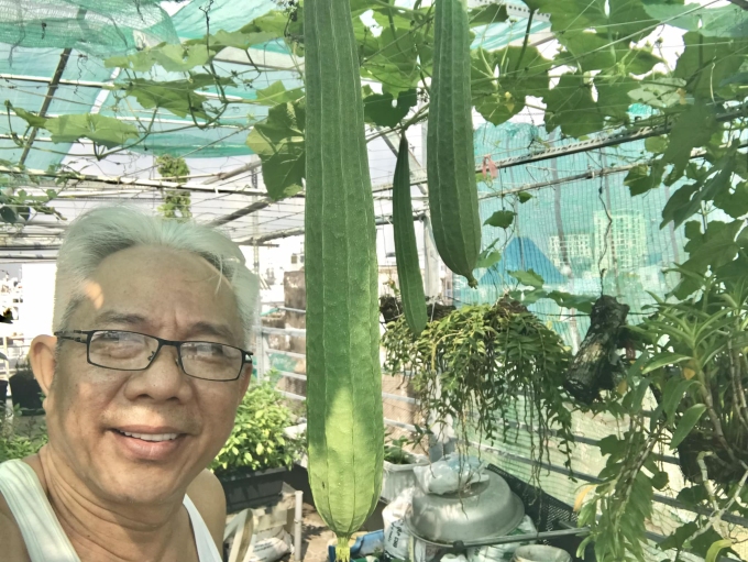 Vườn rau, cây của Trung Dân luôn tươi tốt, sai quả. Ảnh: Nhân vật cung cấp