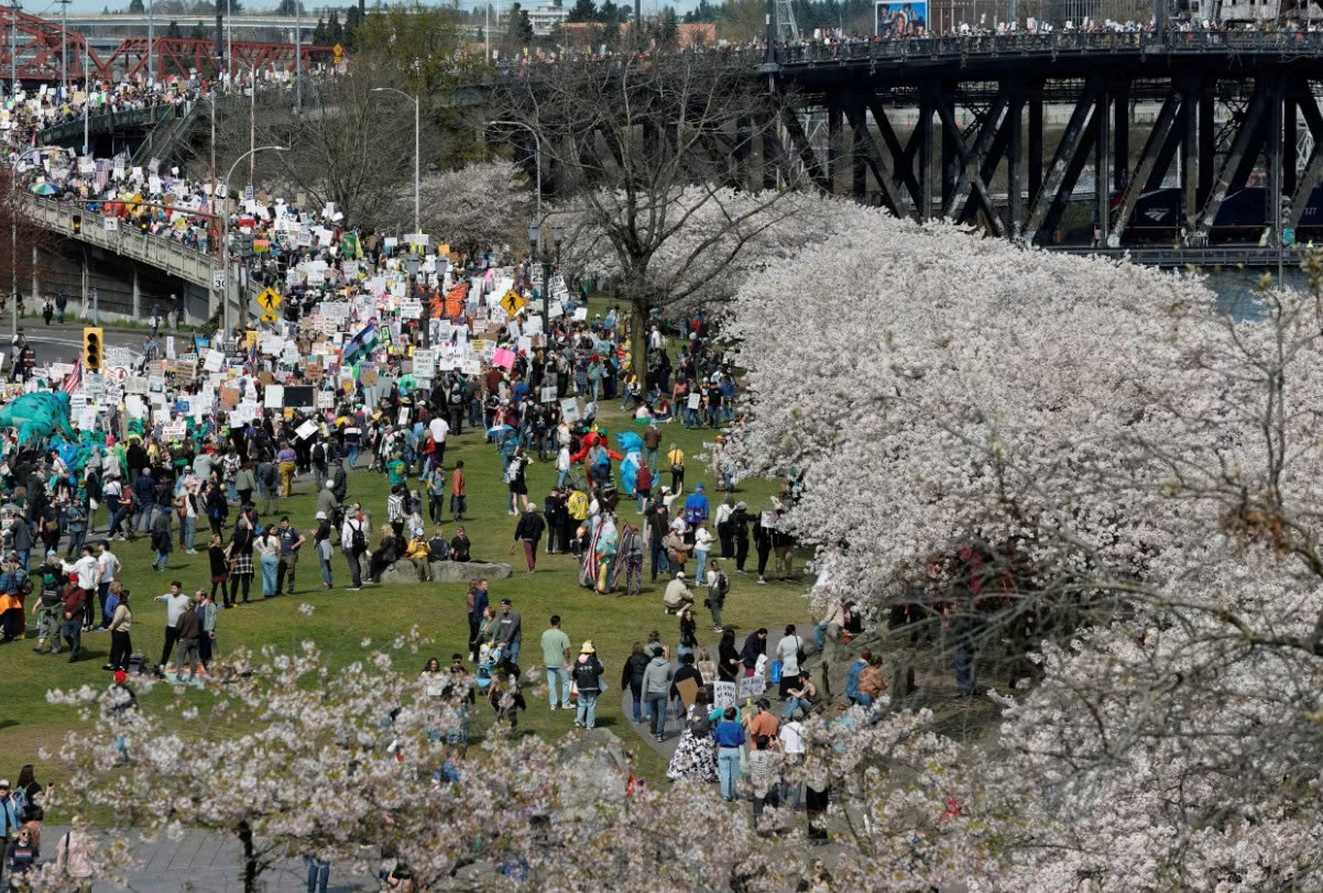 biểu tình - Ảnh 4.