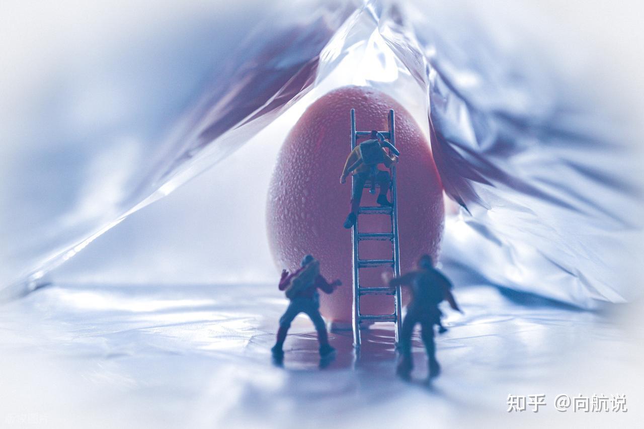 Nếu con người đẻ trứng thay vì mang thai, xã hội sẽ đảo lộn ra sao?- Ảnh 3.