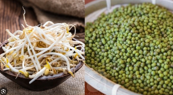 Nên luộc chín giá đỗ trước khi ăn để giảm lượng kali và photpho.