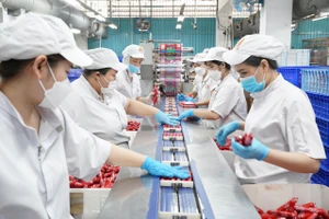 Lo Nghị định 46 có hiệu lực trở lại: VCCI kiến nghị chờ Luật An toàn thực phẩm sửa đổi được thông qua