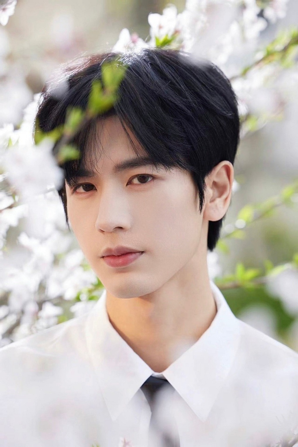 “Tướng quân kem nền” so sánh với Leonardo DiCaprio, nói đẹp trai là cái tội - 2