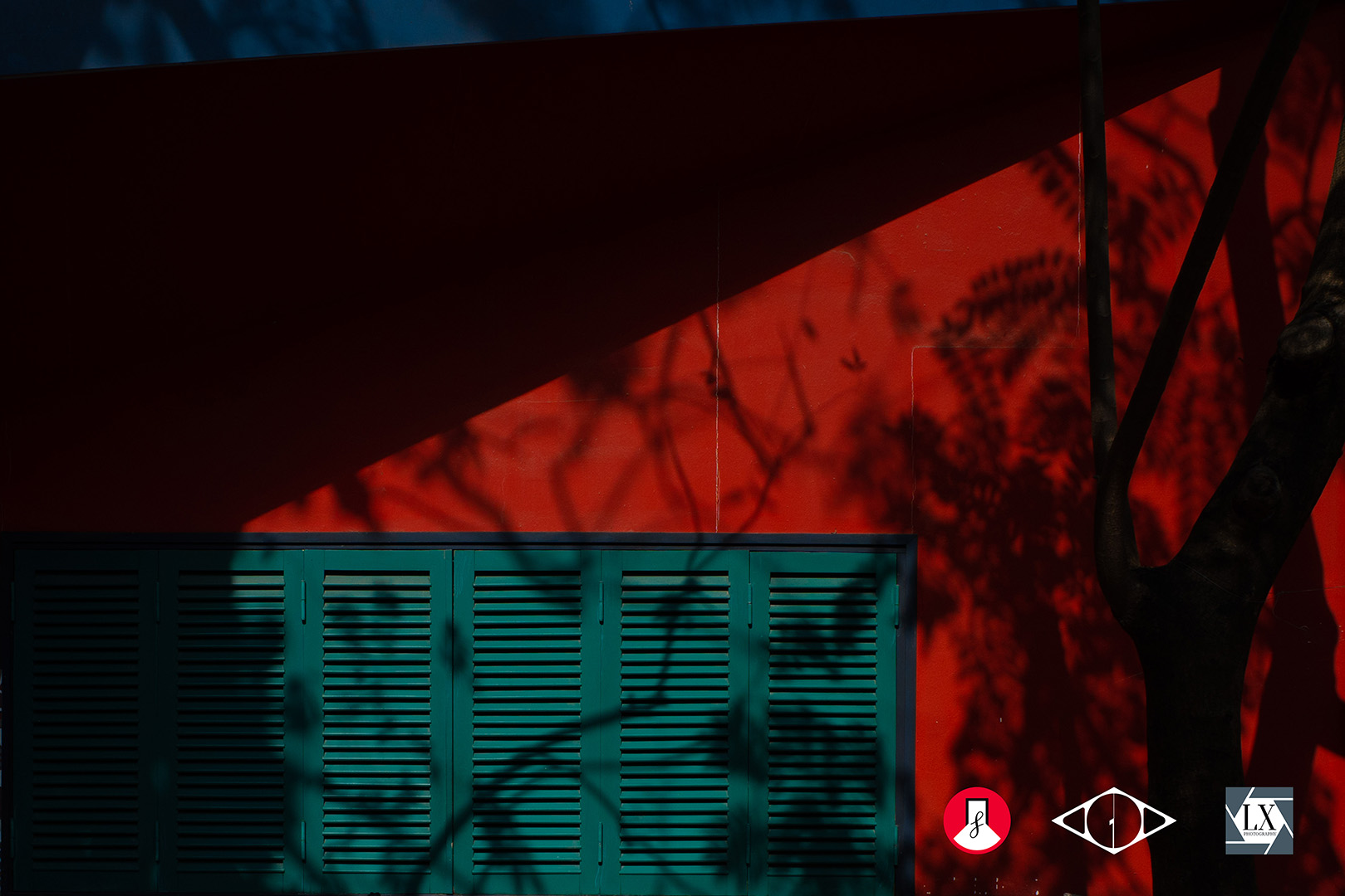 Chậm bước giữa thế gian vội vã - thông điệp từ triển lãm 'Nhân dạng gốc'- Ảnh 2.